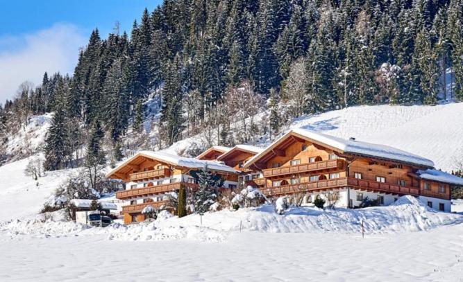 Alpin Aparthotel 3*