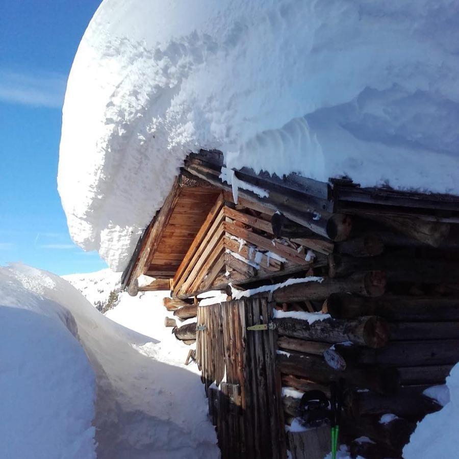 Alpin