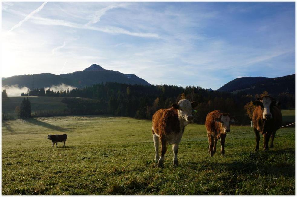 Alpin Aparthotel 3*