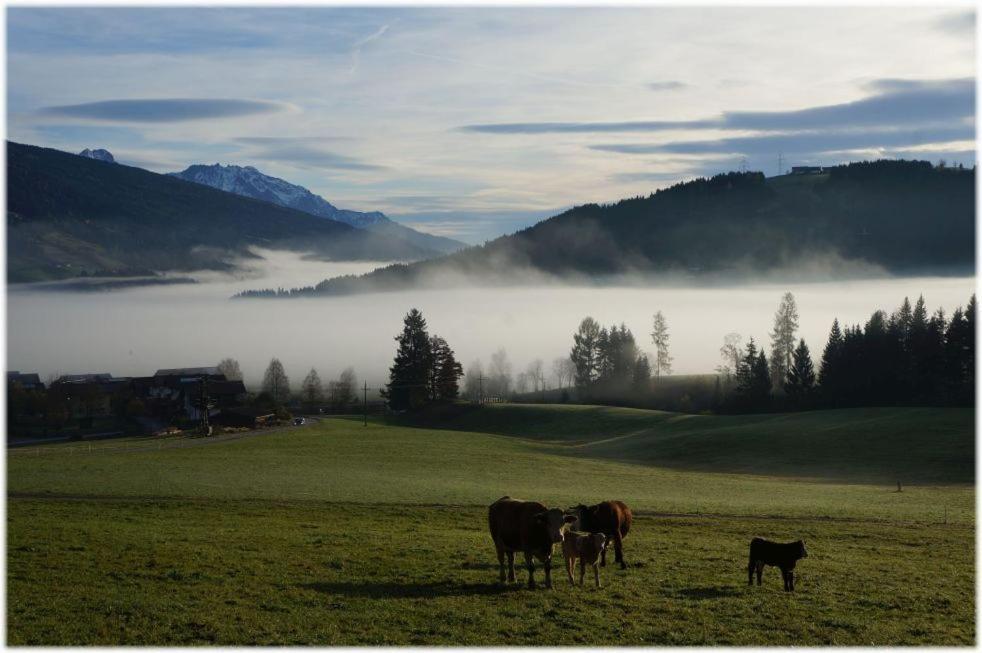 Alpin Aparthotel